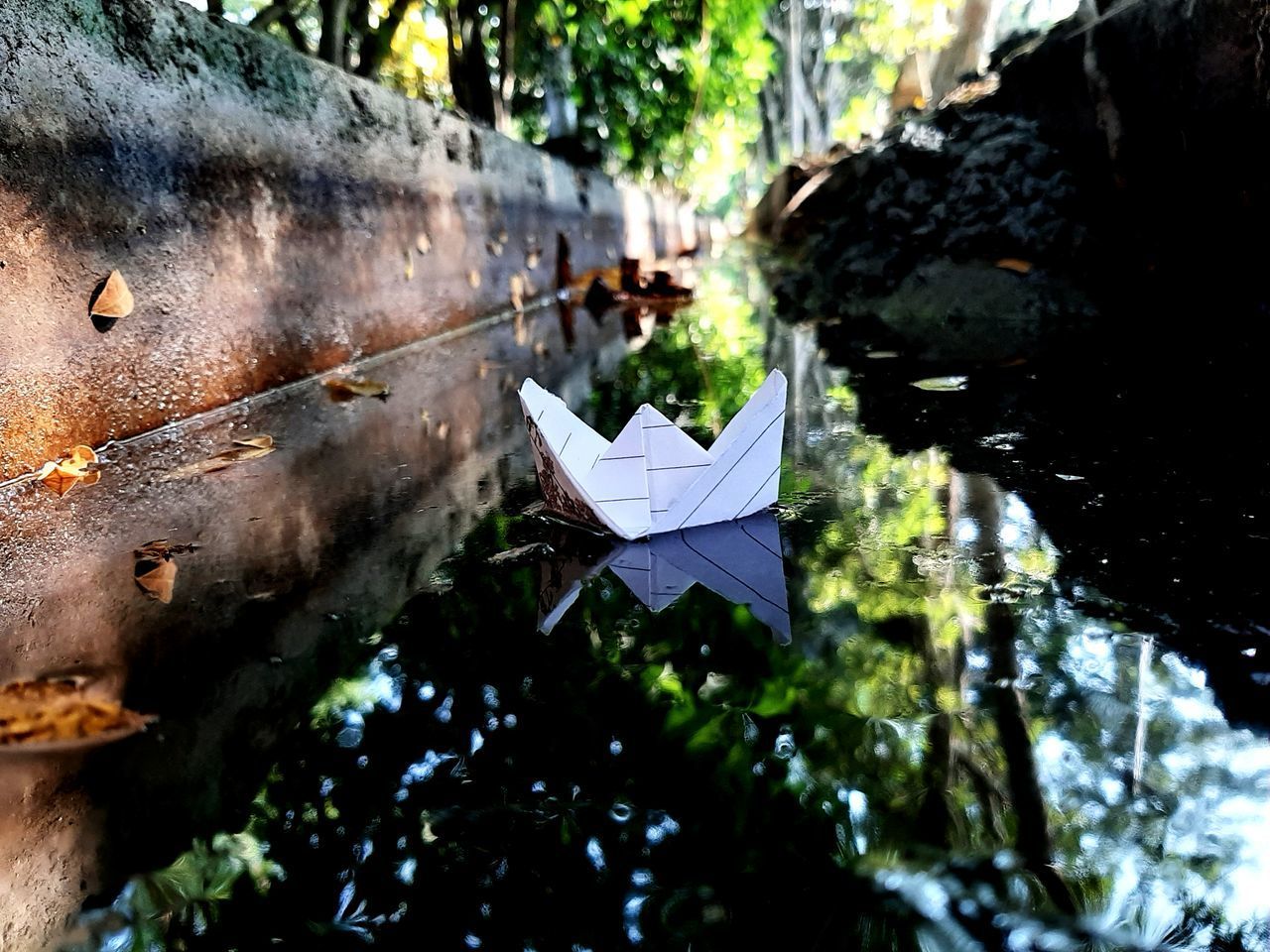 CLOSE-UP OF PAPER HANGING ON TREE