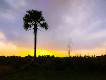 Silhouette palm trees on field against sky at sunset