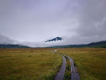 Scenic view of field against sky