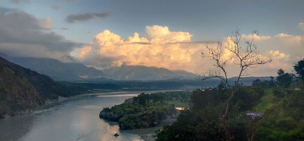 Scenic view of river amidst trees against sky