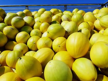 Close-up of fruits for sale at market stall