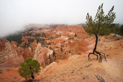 Scenic view of land against sky