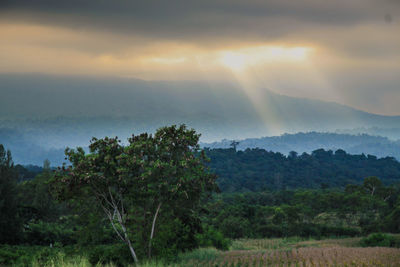 Scenic view of tree mountains against sky