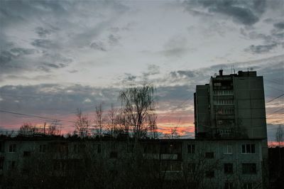 Trees against sky during sunset