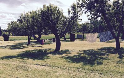 Clothes drying on clothesline