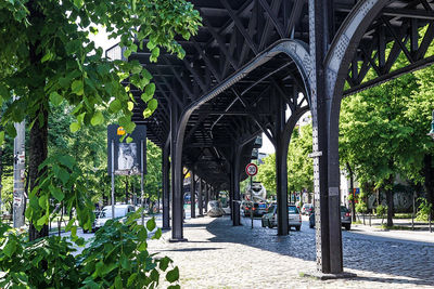 Trees by plants in city