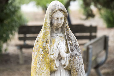 Close-up of statue