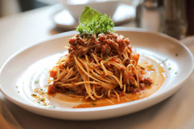 Close-up of noodles served in plate