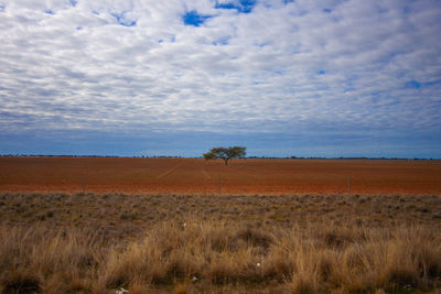 Scenic view of field against cloudy sky