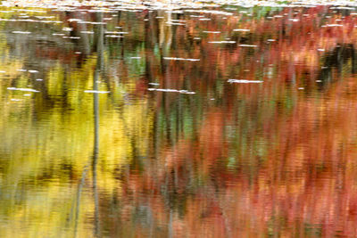 Close-up of reflection in water