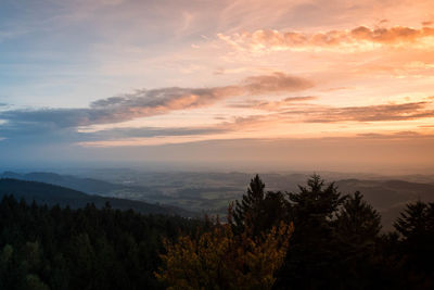 Scenic view of forest against sky at sunset