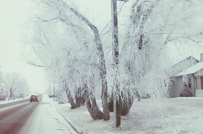 Snow covered road in winter