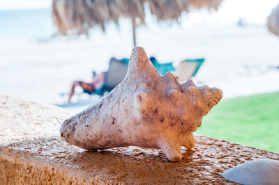 Close-up of rusty metal on beach