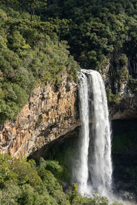 Scenic view of waterfall in forest