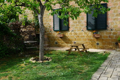 Empty bench in park against building