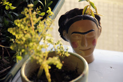 Close-up of potted plant in pot