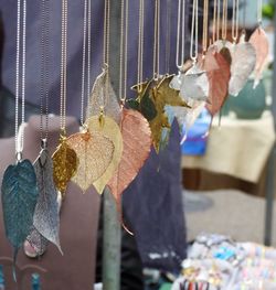 Close-up of clothes hanging on indoors