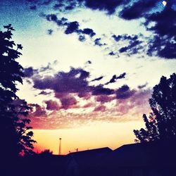 silhouette