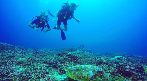 Men snorkeling in sea