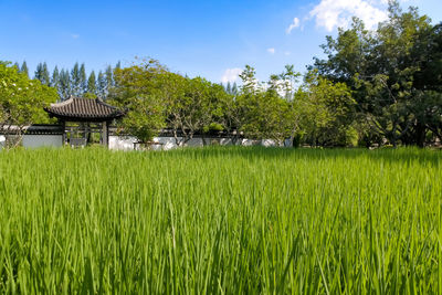 Scenic view of farm against sky