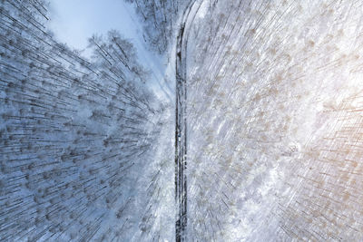 Directly above shot of road amidst snow covered forest during winter