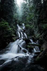 Scenic view of waterfall in forest