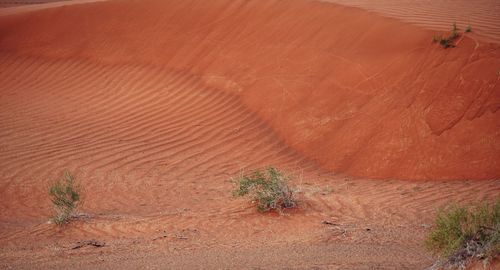 Rural view on desert environment