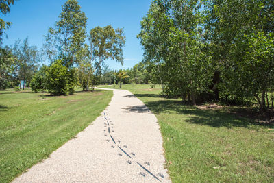 Road amidst trees against sky