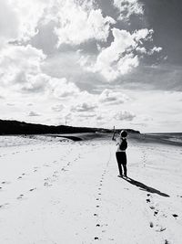 Dog standing on beach