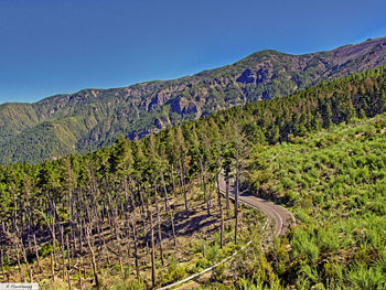 High angle view of empty road amidst trees on landscape near green mountains