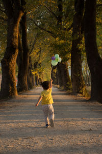 Rear view of boy running on pathway amidst trees