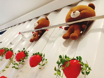 High angle view of cherries in plate on table