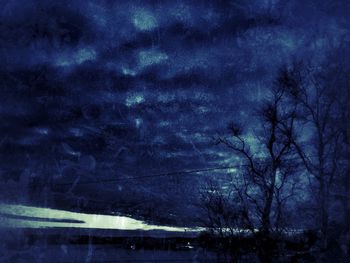 Bare trees against cloudy sky