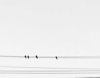 Low angle view of birds perching on cable against clear sky