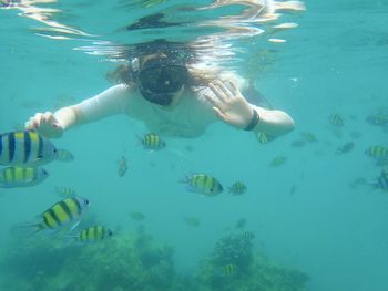 Person snorkeling in the sea