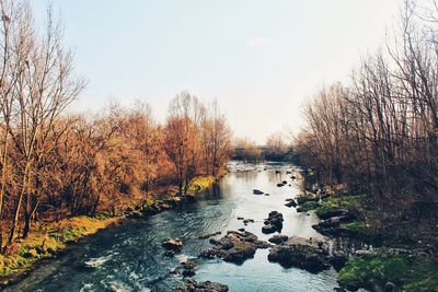 River amidst trees against sky during autumn