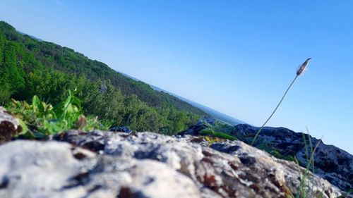 Surface level of rocks against clear blue sky