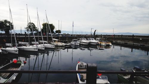 Boats moored at harbor