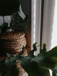 Close-up of leaves in basket