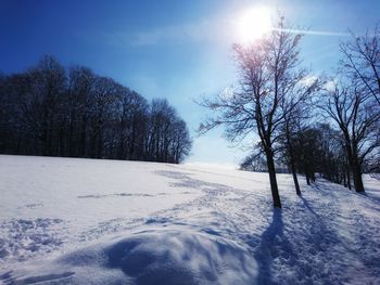 Trees on snow covered field against sky