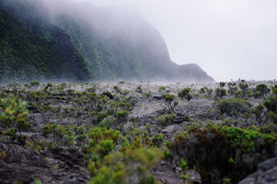 Misty volcanic landscape