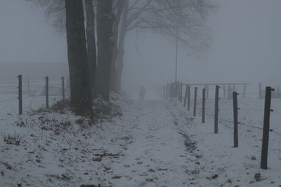 Scenic view of snow covered field