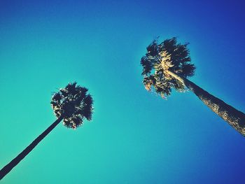 Low angle view of trees against clear blue sky