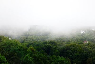 Scenic view of tree mountains against sky
