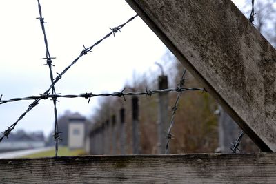 Close-up of barbed wire