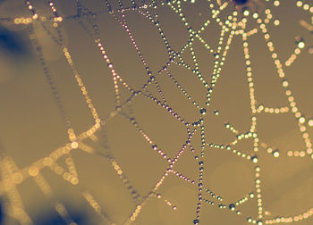 Low angle view of water drops on spider web