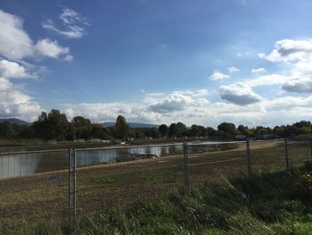 Scenic view of field against sky