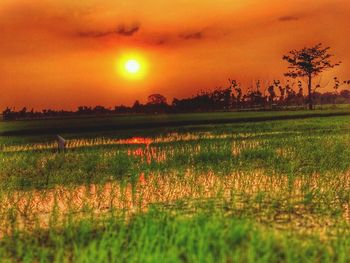 Scenic view of field against orange sky