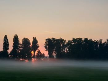 Silhouette trees on field against sky during sunset