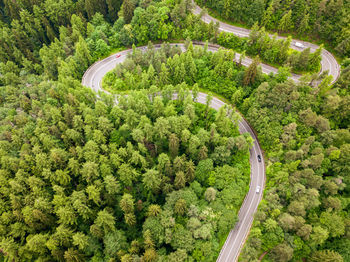 Winding road through the forest, from high mountain pass, in summer time. aerial view by drone